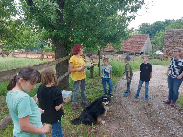 22 06 24 Bauernhofbesuch 04