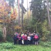 Wald3c-2019